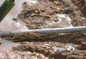 九州ku酷游·(中国集团)官方网站