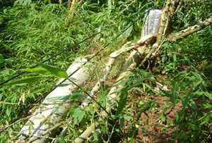 九州ku酷游·(中国集团)官方网站