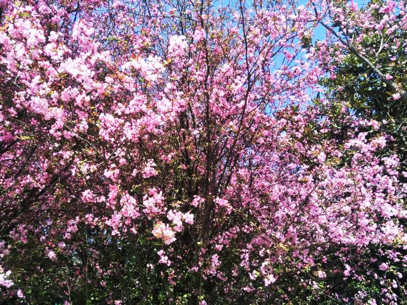 九州ku酷游·(中国集团)官方网站