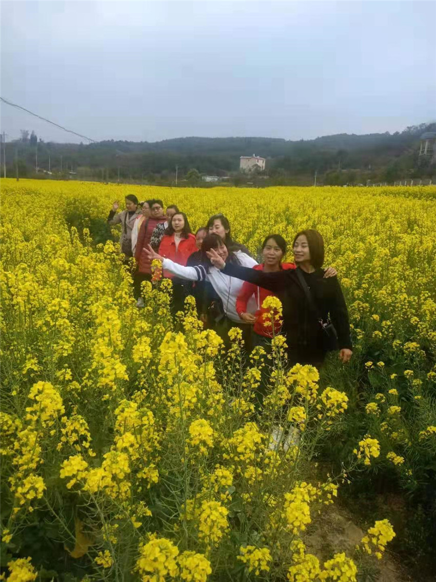 九州ku酷游·(中国集团)官方网站