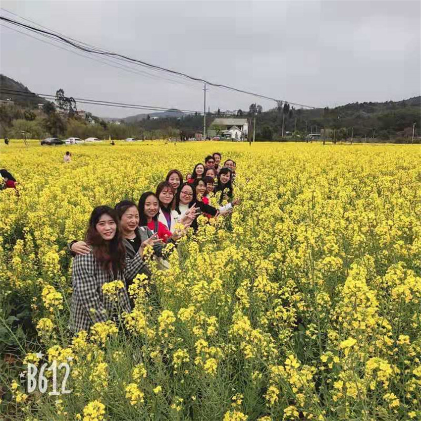 九州ku酷游·(中国集团)官方网站